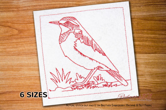 African Pied Wagtail Redwork Review