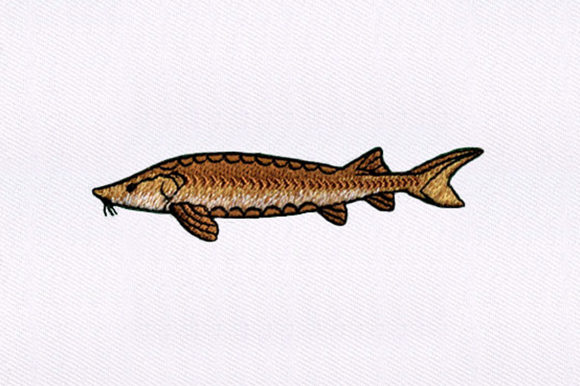 Brown Fish Design: A Business-First Embroidery Review